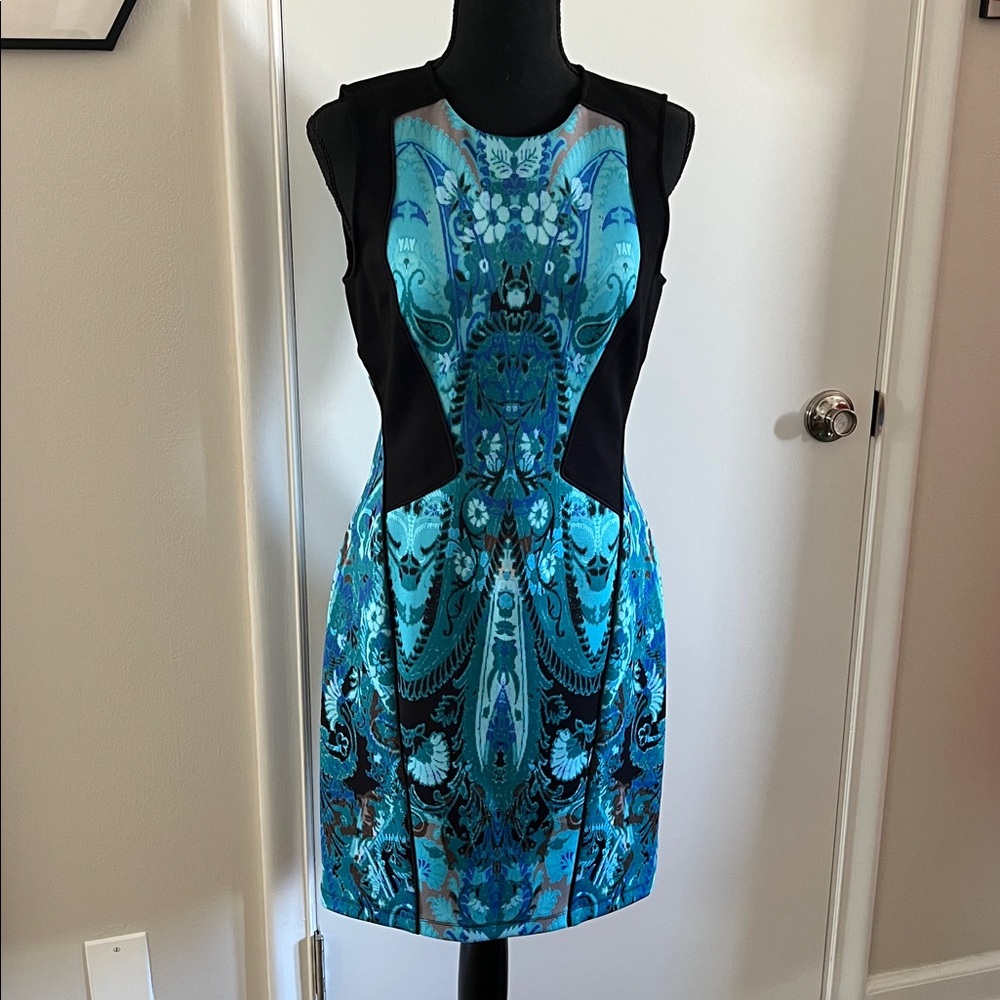 Ali Ro formal dress